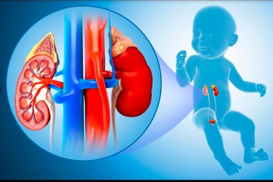laparoscopy for pediatric hern