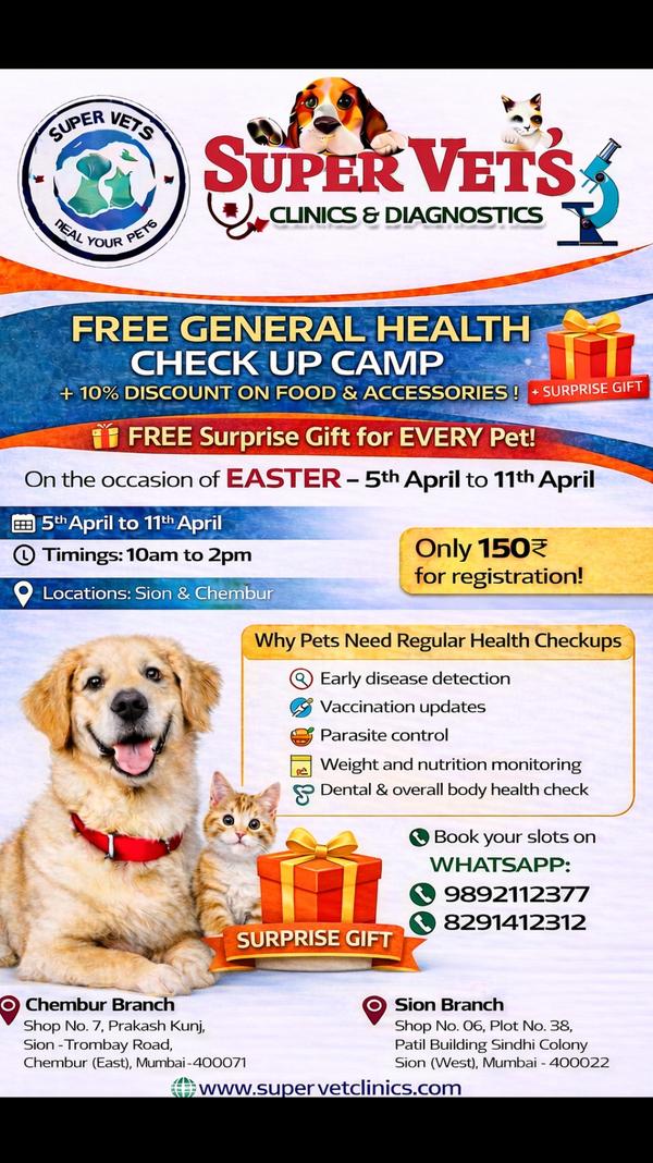 free puppy and kitten camp