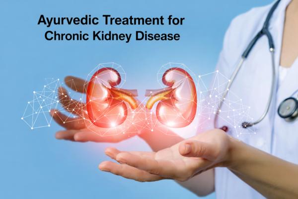 digestive fire balance detox t