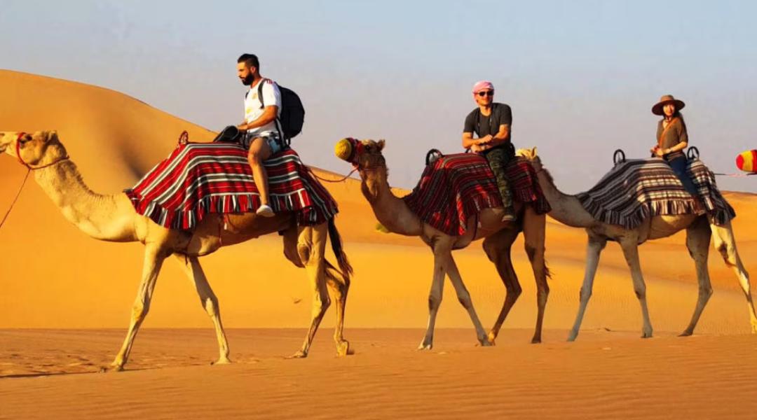 Rajasthan Cultural Tour e