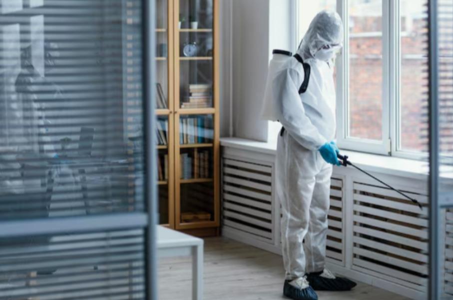 Cockroach control services are