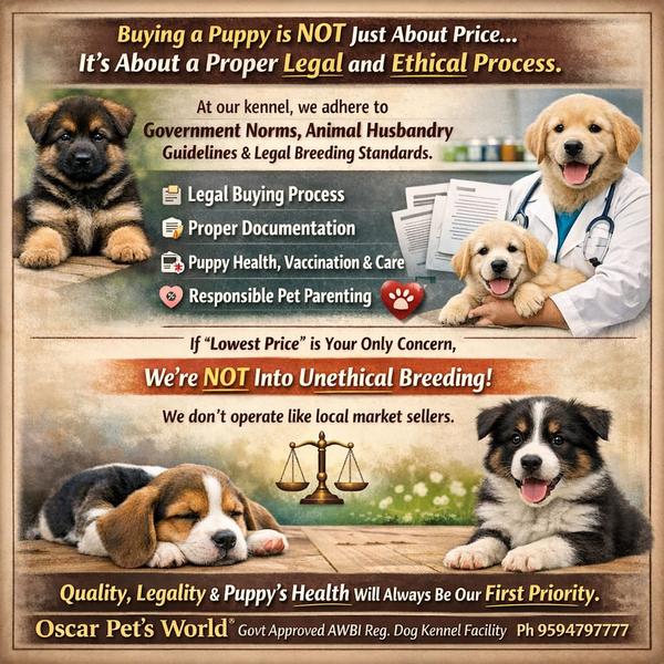 “गलत breed select kiya toh lif