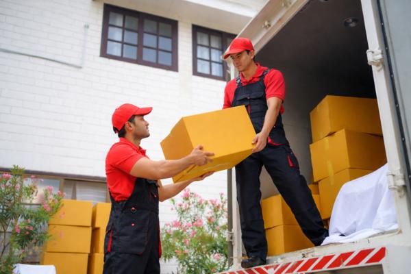 international packers sarjapur