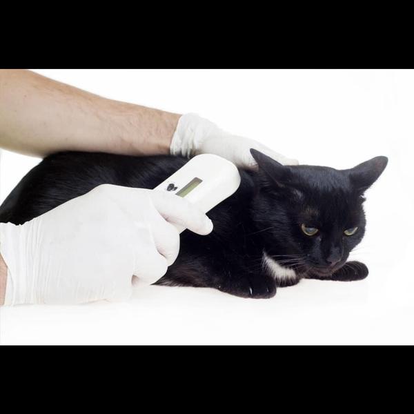 Microchipping is a safe and pe