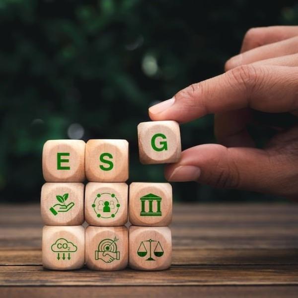 environmental impact assessmen