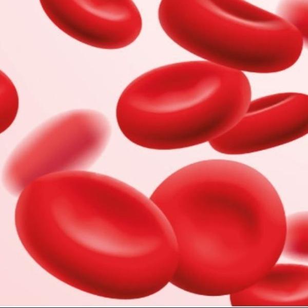 


Complete Hemogram (CBC) Tes