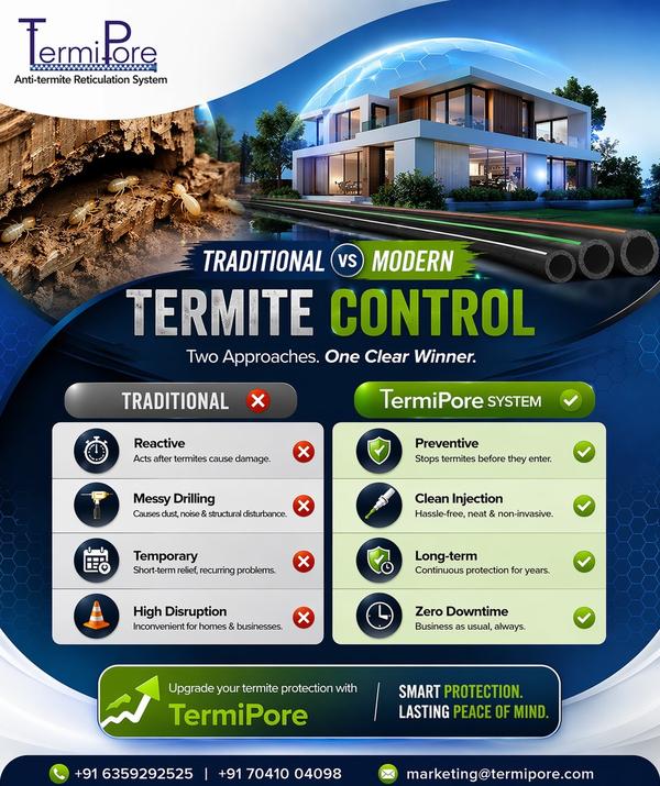 Termites don’t wait. Why