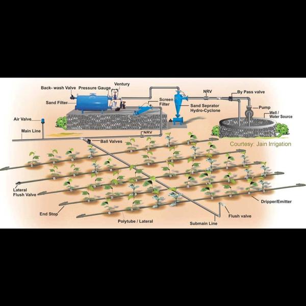 Himalaya Agro Consultancy Services in Nagpur offer