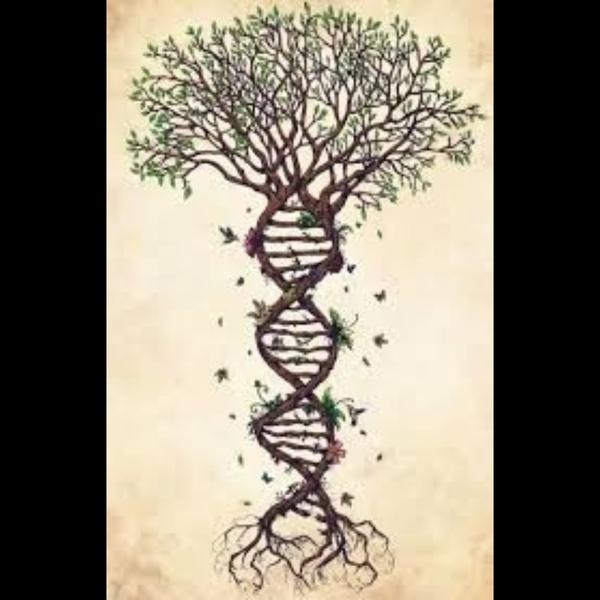 Ancestral Lineage Healing Delh