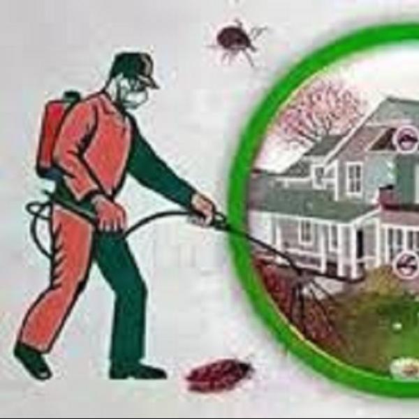 Herbal Cockroach Control 