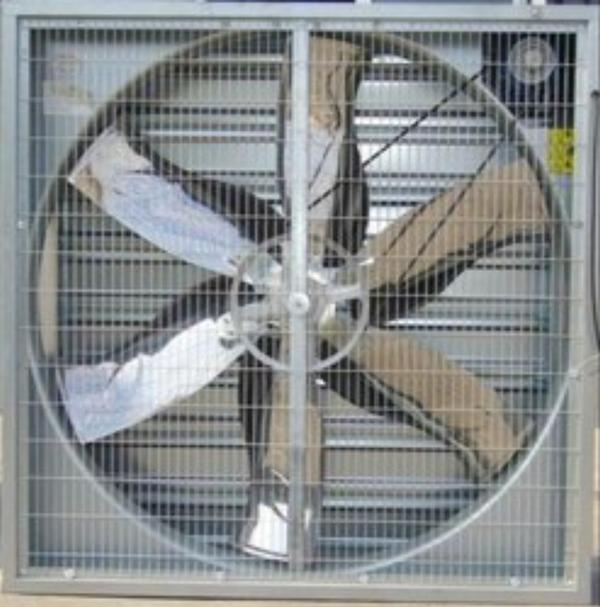 Industrial Exhaust Fan manufacturer & Supplier in 