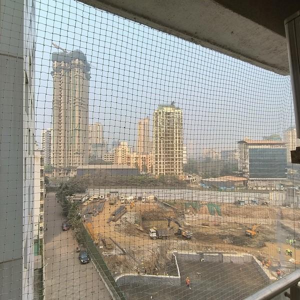 SOHAM BIRD PRO SERVICES 1️⃣ Pr