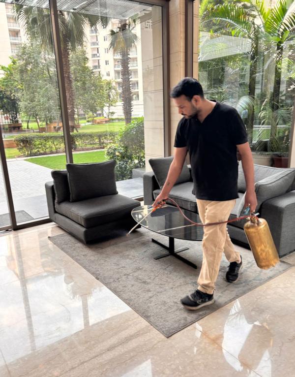 Pest Control In Jaipur Pe