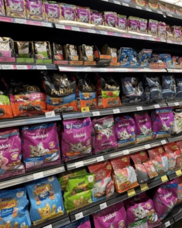 Pet Shop in Kandivali isn