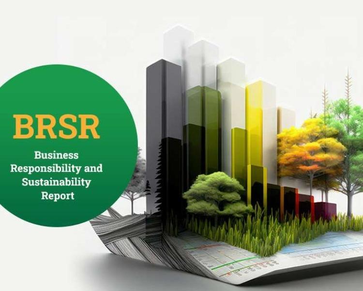 Business Responsibility and Su