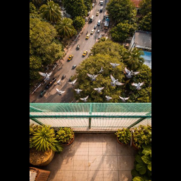 If you live in Bangalore,