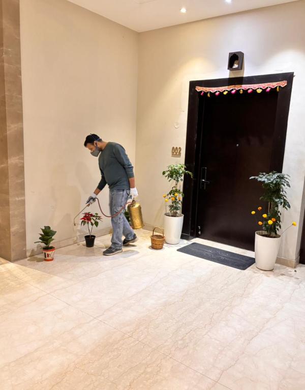 Pest Control In Jaipur Pe