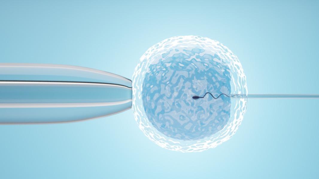 IVF treatment is more than a m