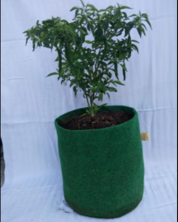update image