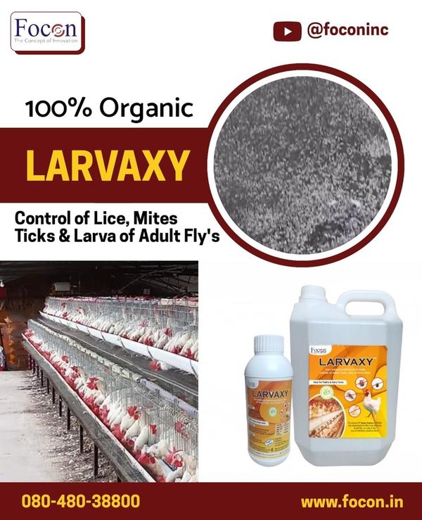 Larvaxy by Focon Inc – Br