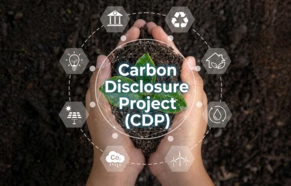 environmental impact analysis