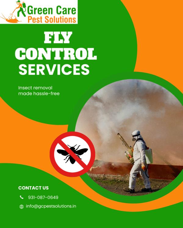  Fly Control Service in Greate