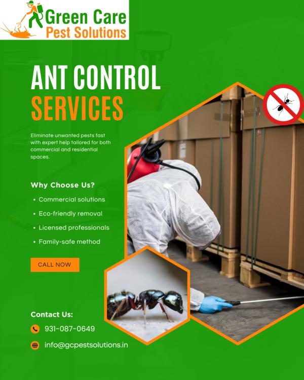 Ant Control Service in Greater