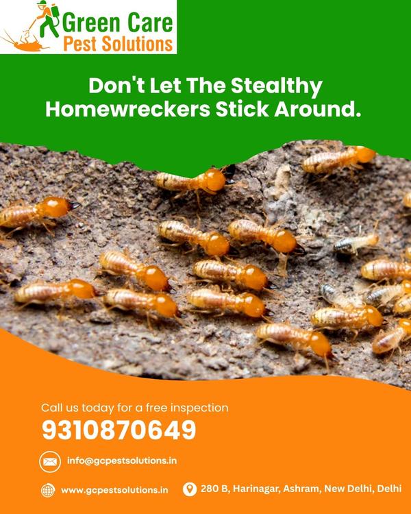 mosquito control services new 
