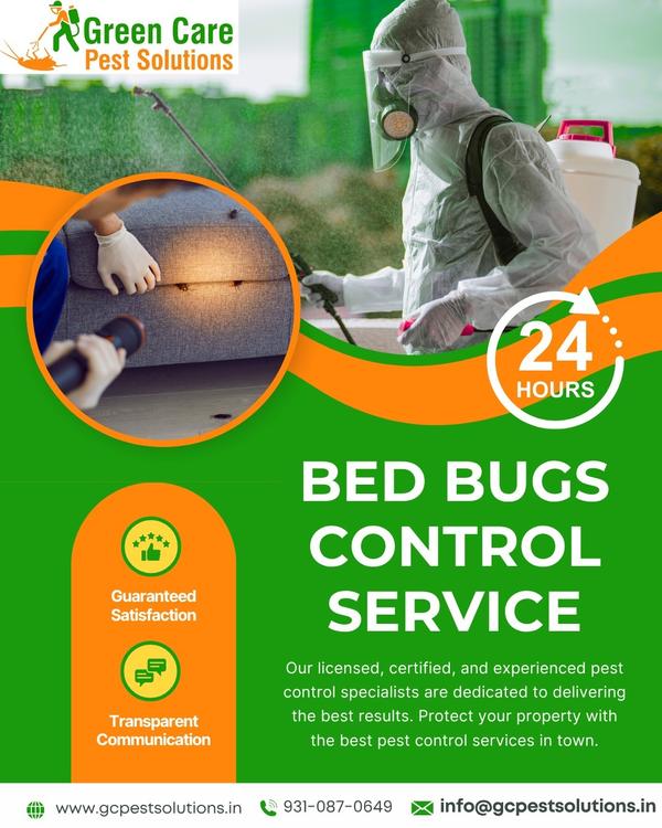 bed bug control treatment new 