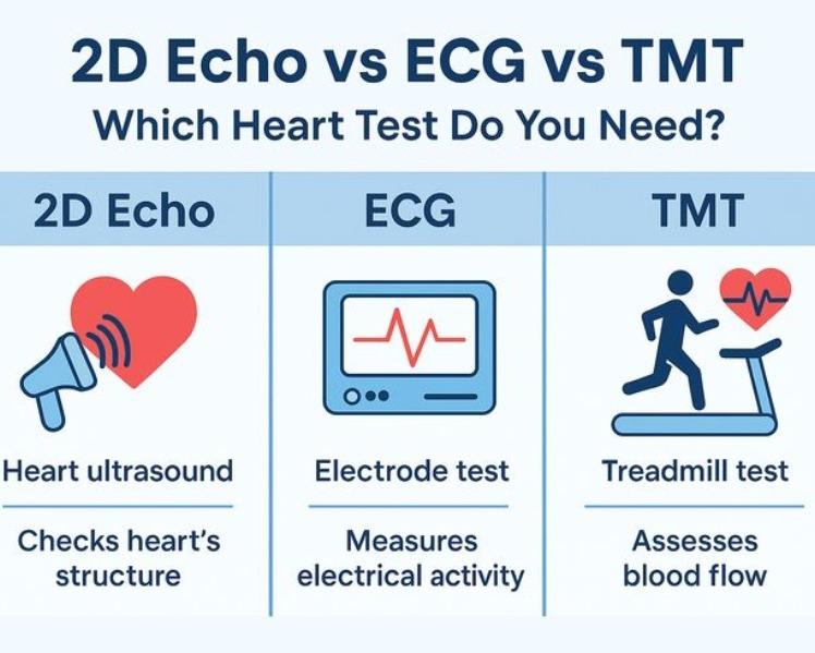 

TMT (Treadmill Test) in Rohi
