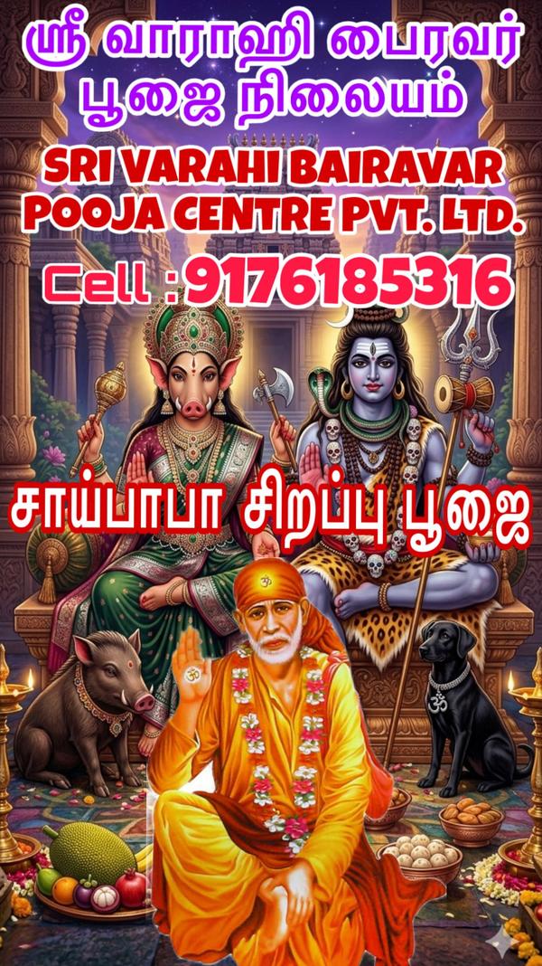 சீரடி சாய்பாபா, இப்போது விஸ்வர