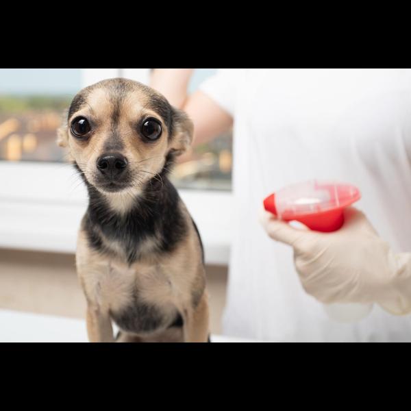 Ticks can cause itching, skin 