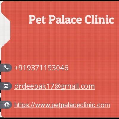 Pet clinic and pet shop one st