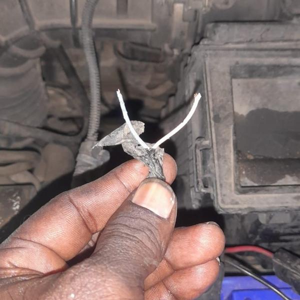 “Your Car Deserves the Best – 