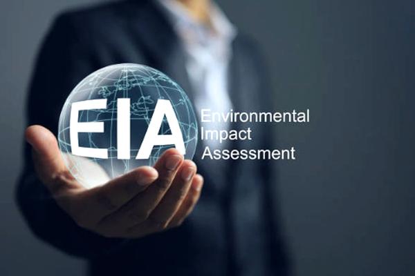sustainability consulting guja