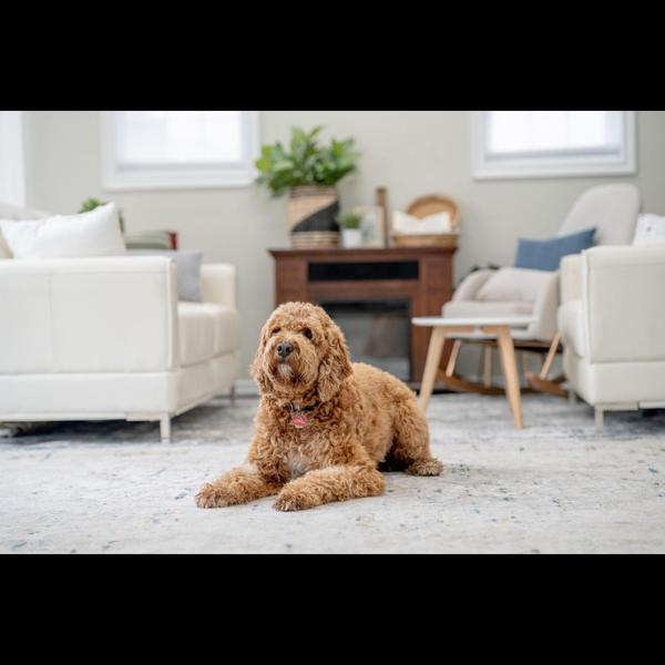 We offer home visit services b