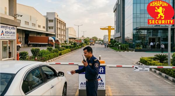 Why Professional Security Serv
