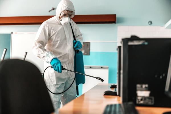 Pest control for IT companies 