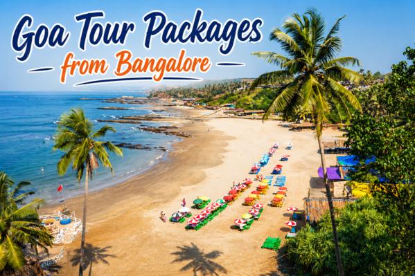 richie rich holidays goa packa