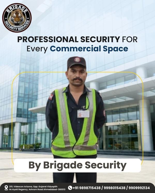 Professional Security Guards A