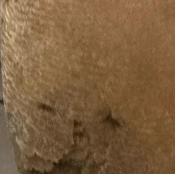 Vibha skin, hair and laser cli