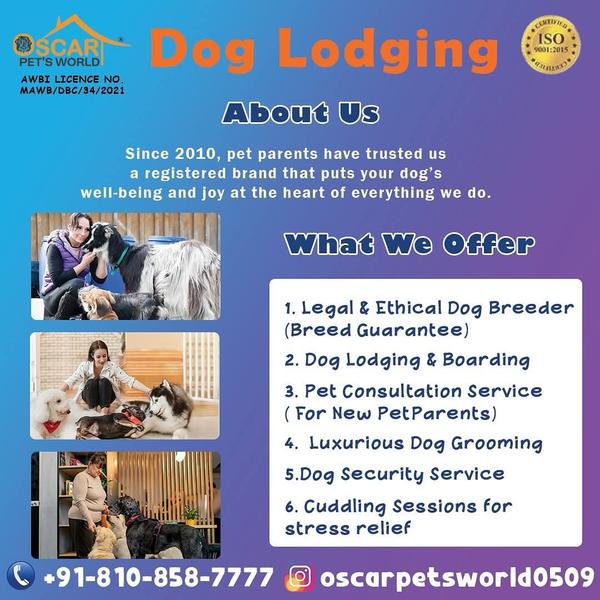 🐾 Welcome to Oscar Pet's Worl