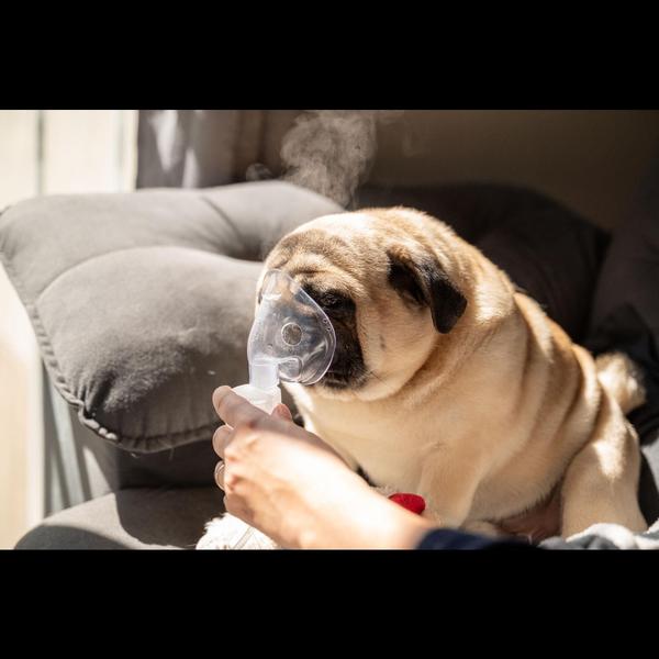 Nebulizati