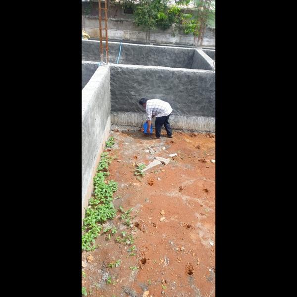 chemical termite treatments ko