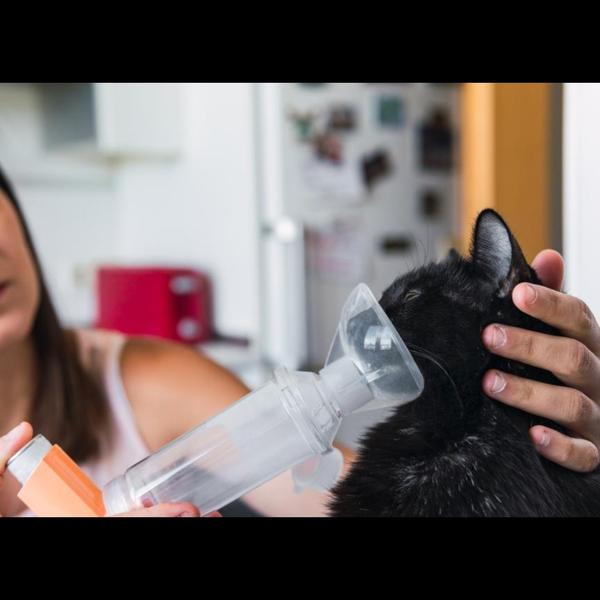 Nebulizati