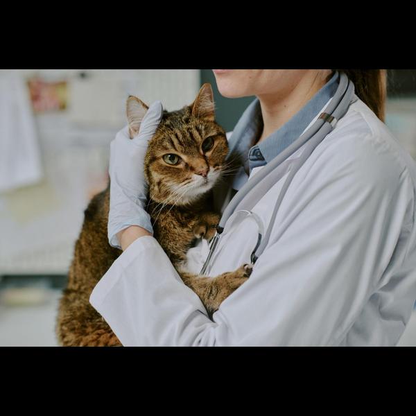 Our clinic
