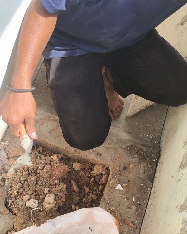Need Septic Tank Cleaning Serv