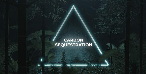 Carbon sequestration for susta