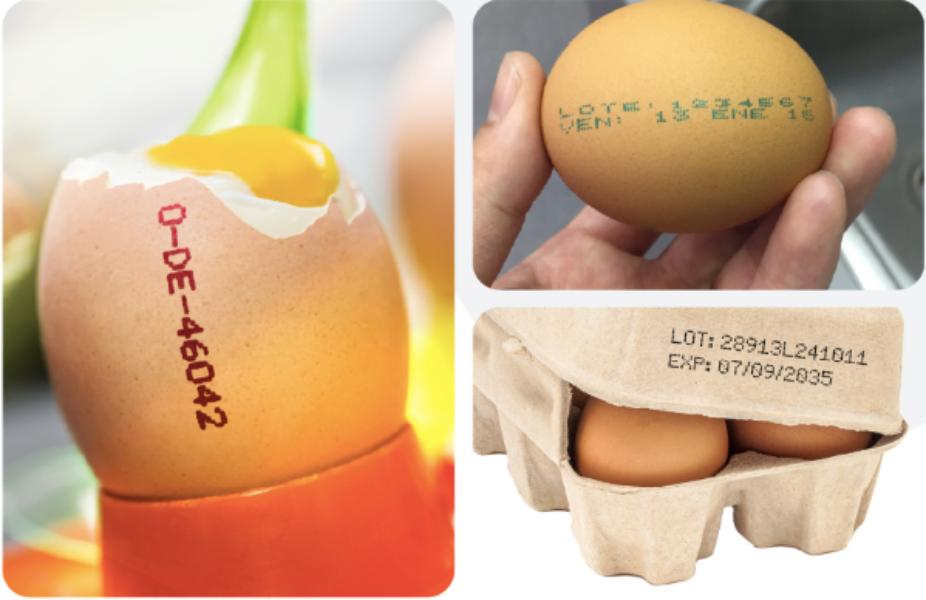 In the egg industry, good marking and coding techn