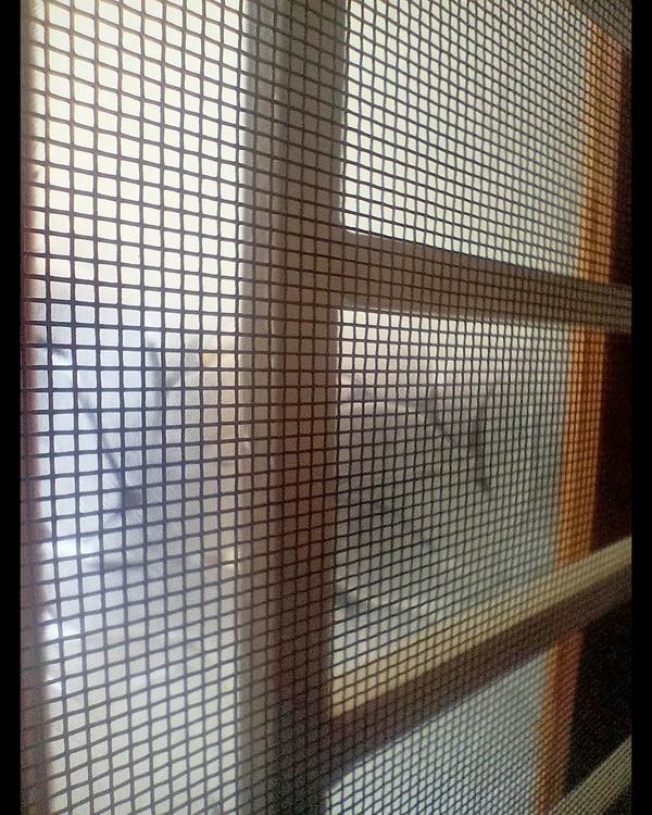 When it comes to mosquito nets